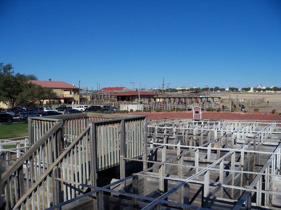 Cowtown Cattlepen Maze